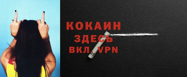 гидра Верея