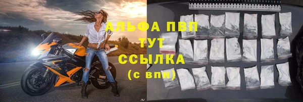 гидра Верея