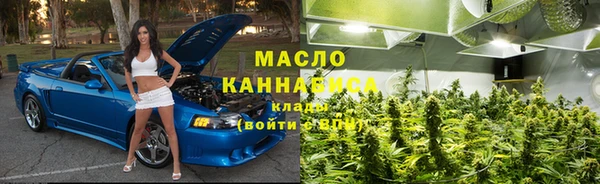 гидра Верея