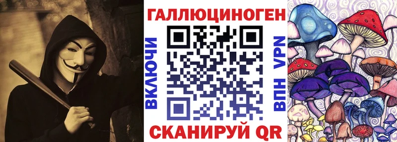 продажа наркотиков  блэк спрут рабочий сайт  Галлюциногенные грибы Psilocybe  Вытегра 